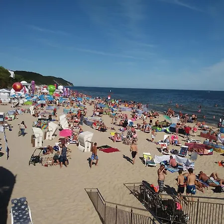 In Mi Dzyzdroje Near Wolin Park *