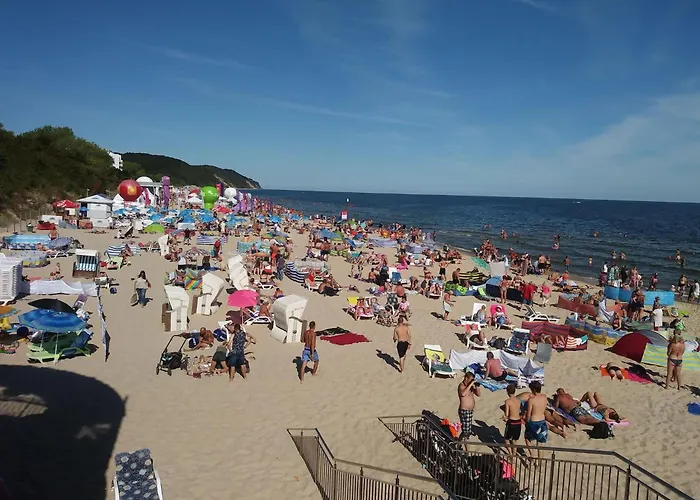 In Mi Dzyzdroje Near Wolin Park *